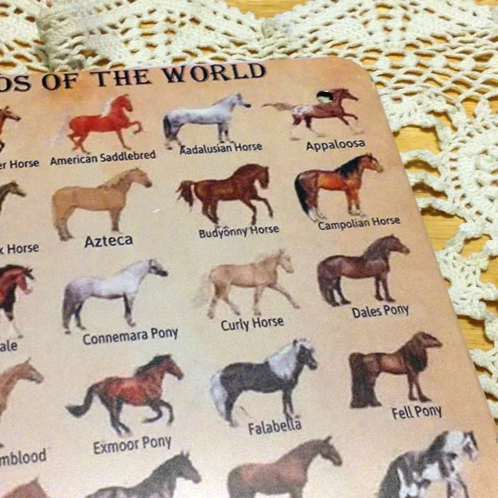 Equine types, sign showing different horse breeds